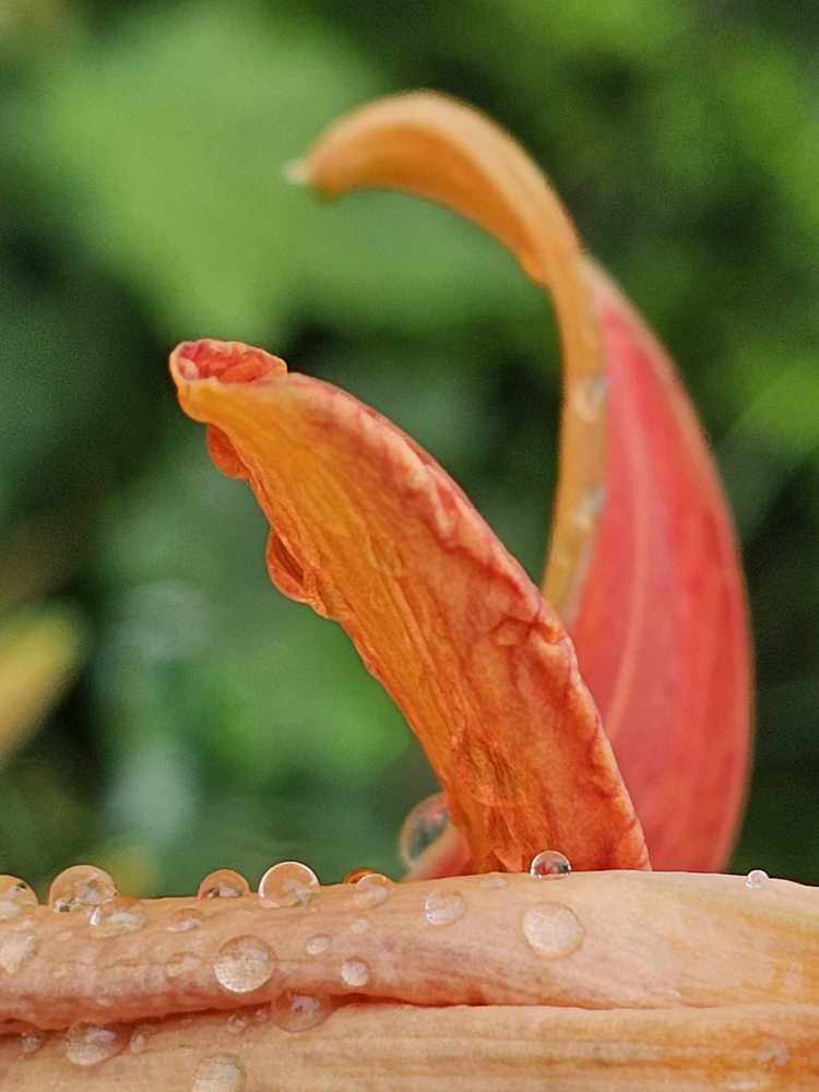 Photograph by Żółtowska Karolina