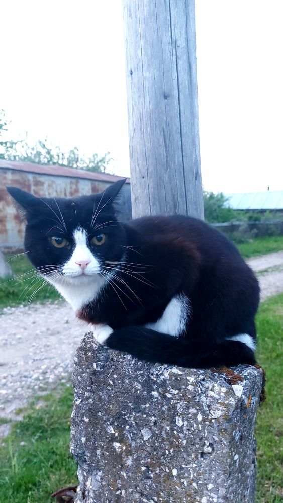 Фотография автора Максим Владимирович