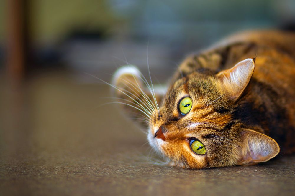 Photograph by Владимир Акиньшин