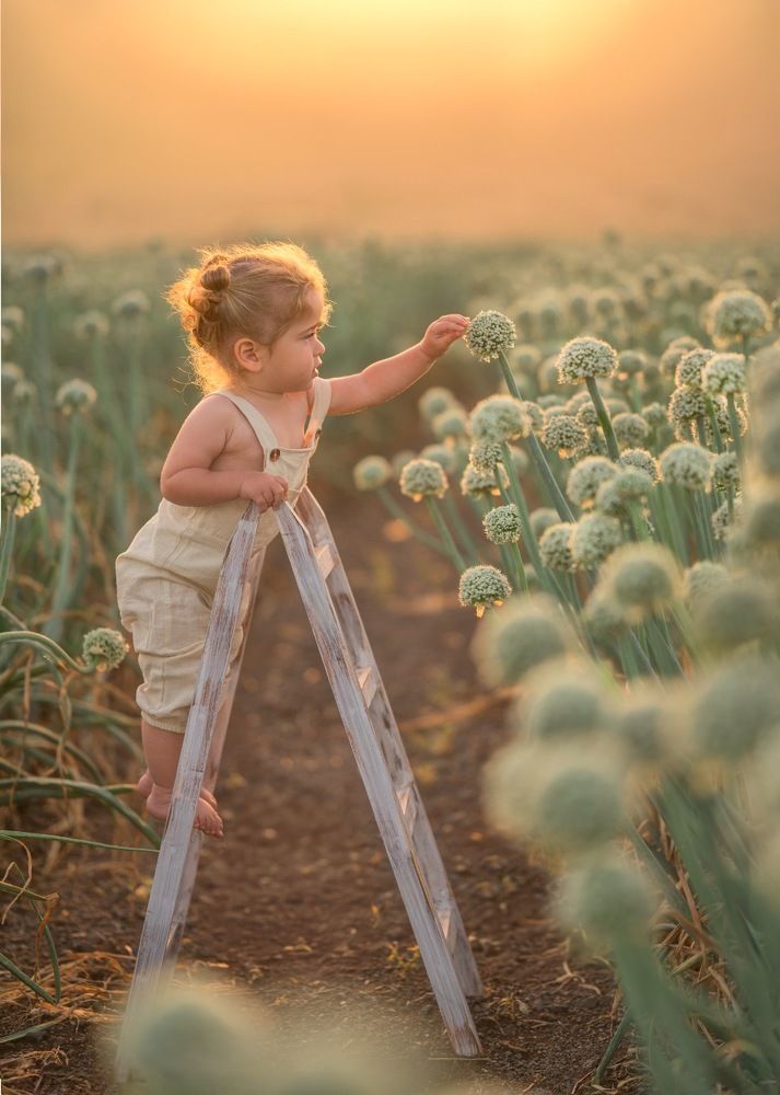 Photograph by מיכל אבנד