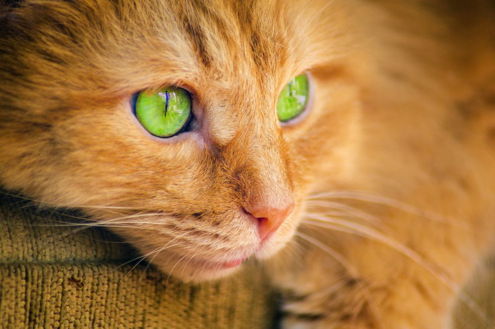 Photograph by Владимир Акиньшин