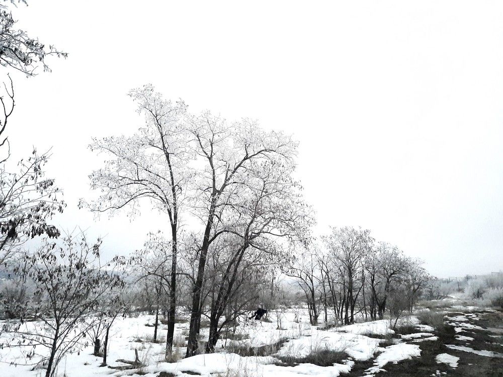 Photograph by Руслан Кадыров