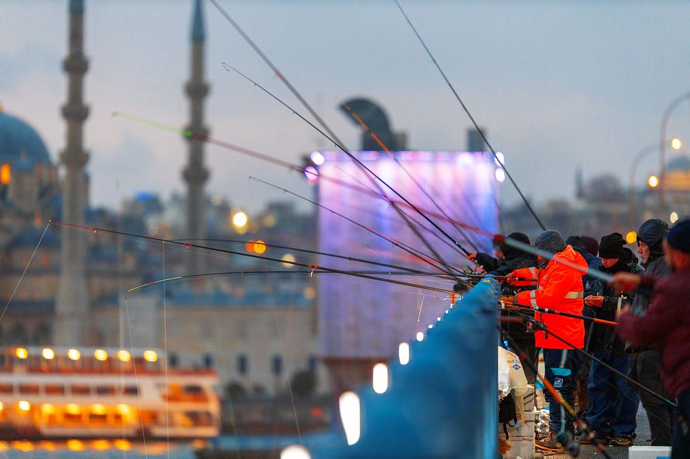 Фотография автора SAJJAD MAHMOOD