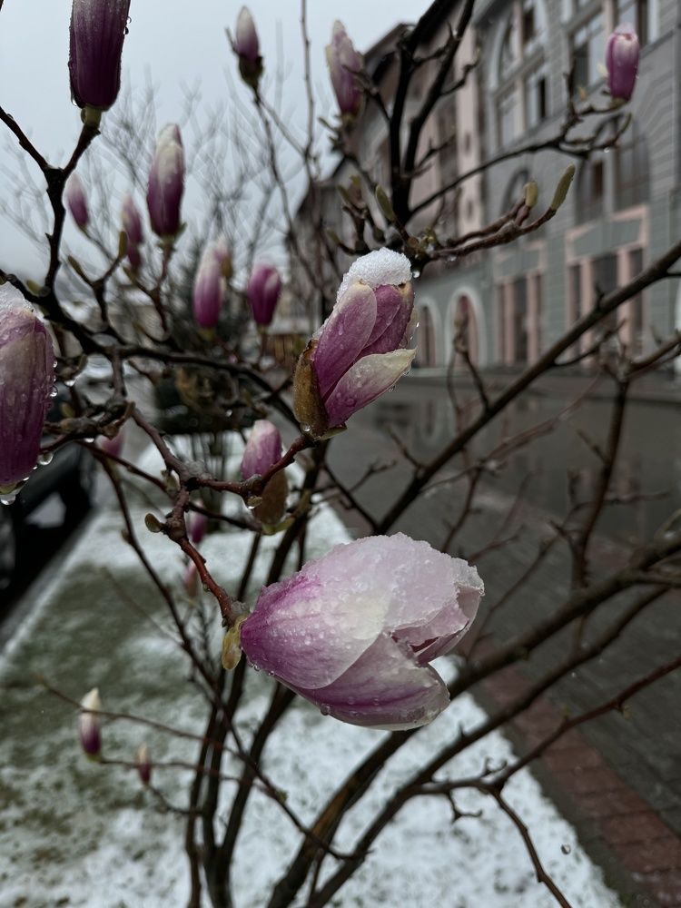 Photograph by Светлана Ермакова