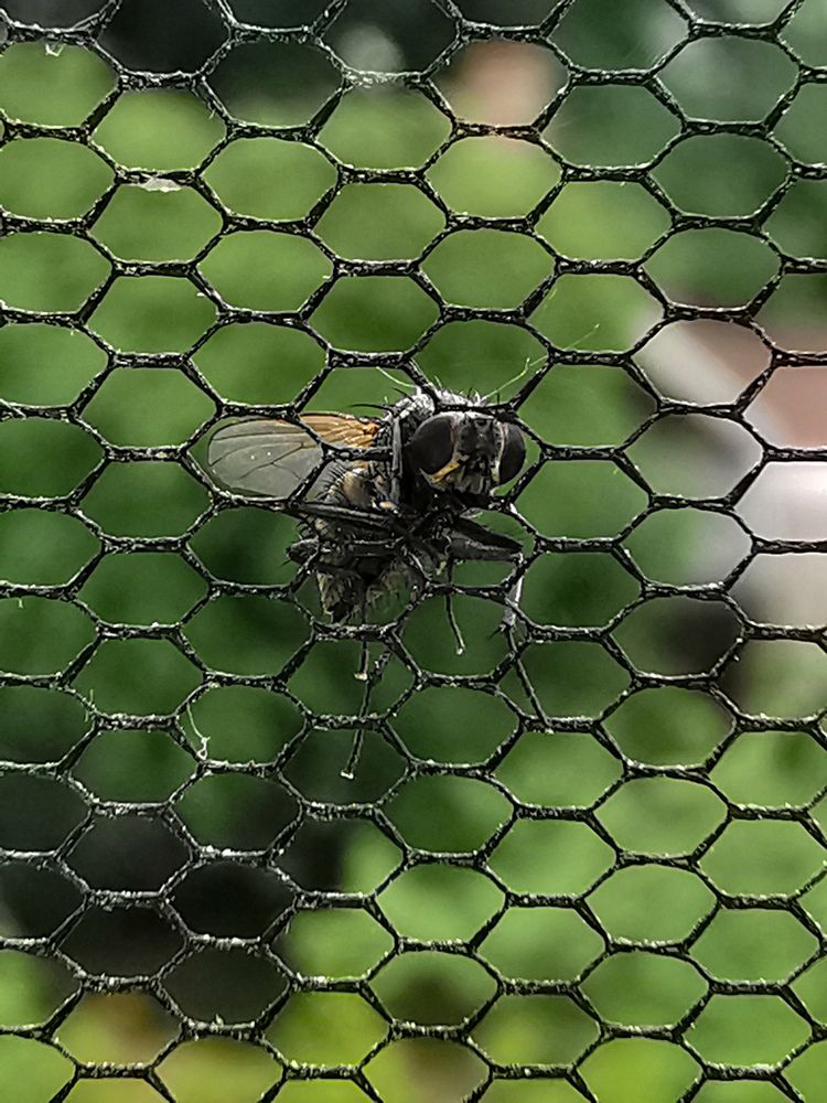 Фотография автора Дмитрий Лебедь