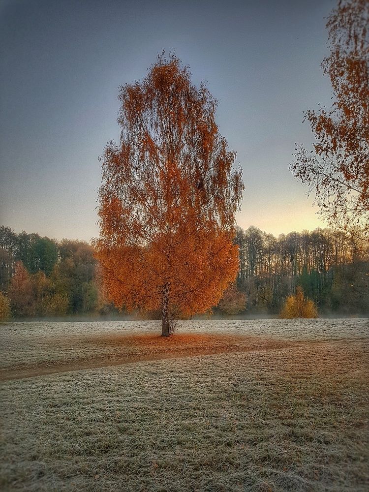 Photograph by Владимир Шаруба