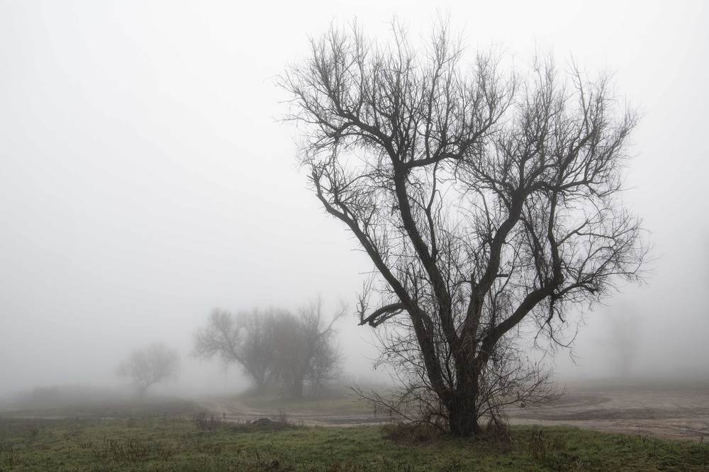 Туман сгущает одиночество