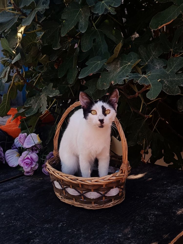 Photograph by Татьяна Шевелева