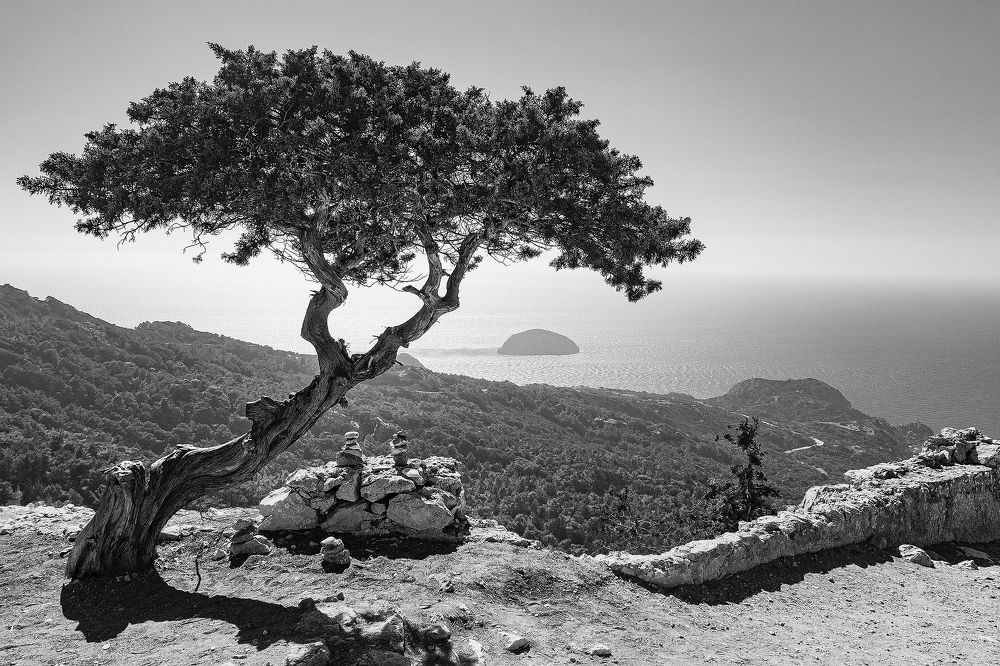 Photograph by Aleetet