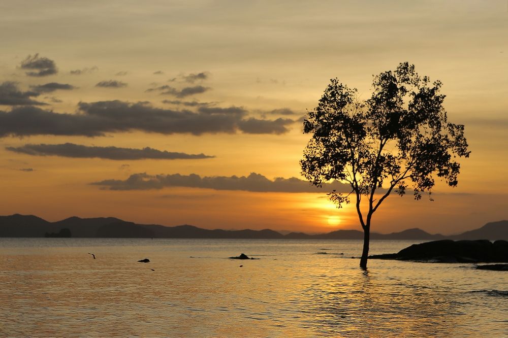 Photograph by Aleetet