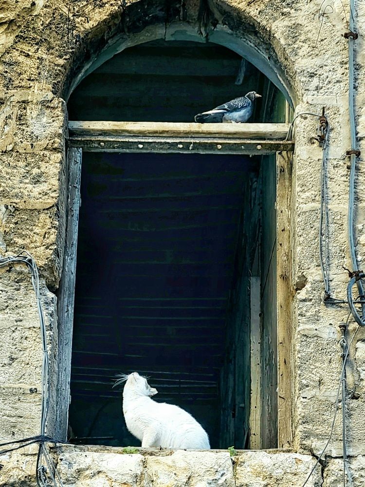 Photograph by Miller Galina