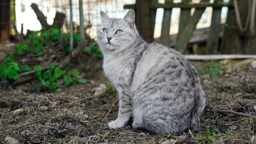 Photograph by Роман Трошин