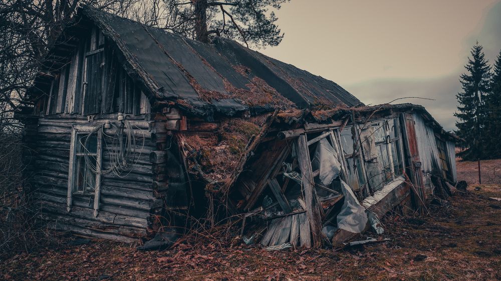 Фотография автора Медведева Елена