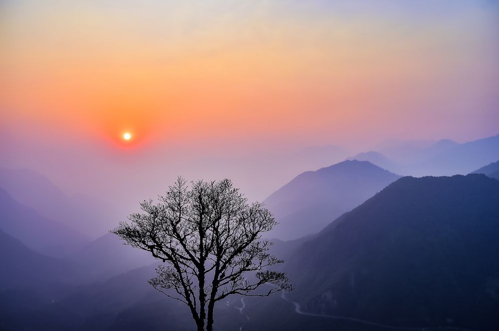 Photograph by PHƯƠNG NGUYỄN THÀNH