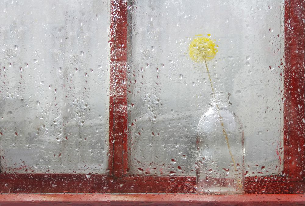 Photograph by Аркадова Елена