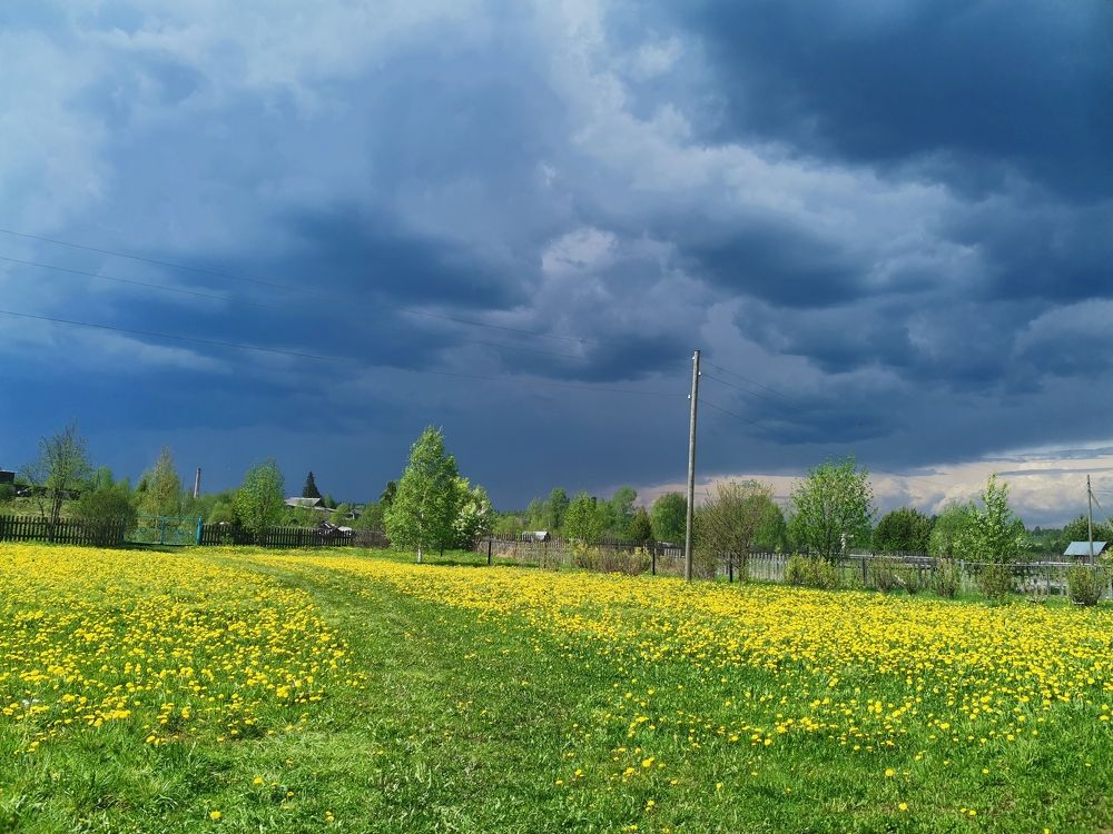 Photograph by Зоя Скоробогатая