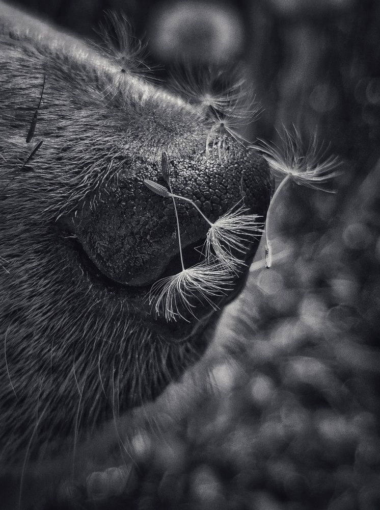 Лето на носу