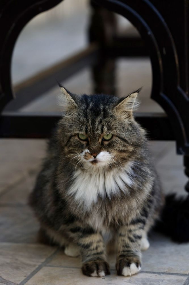 Photograph by Ольга Одаренко