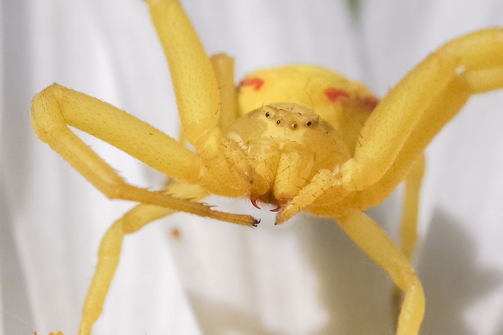 Photograph by Арсен Алабердов