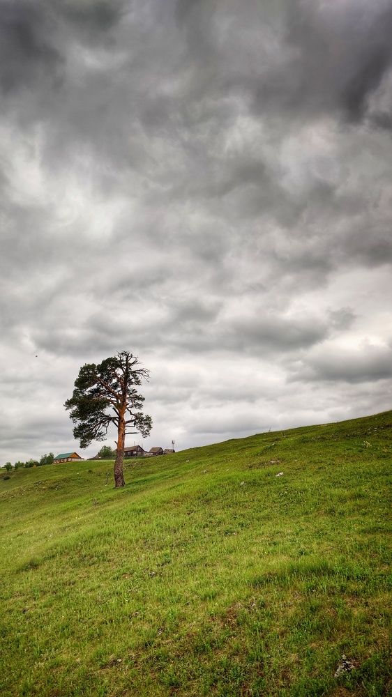 Photograph by Калюнова Наталья