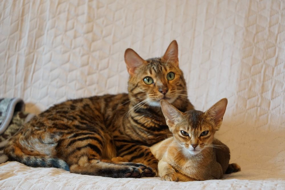 Photograph by Игорь Семеновский