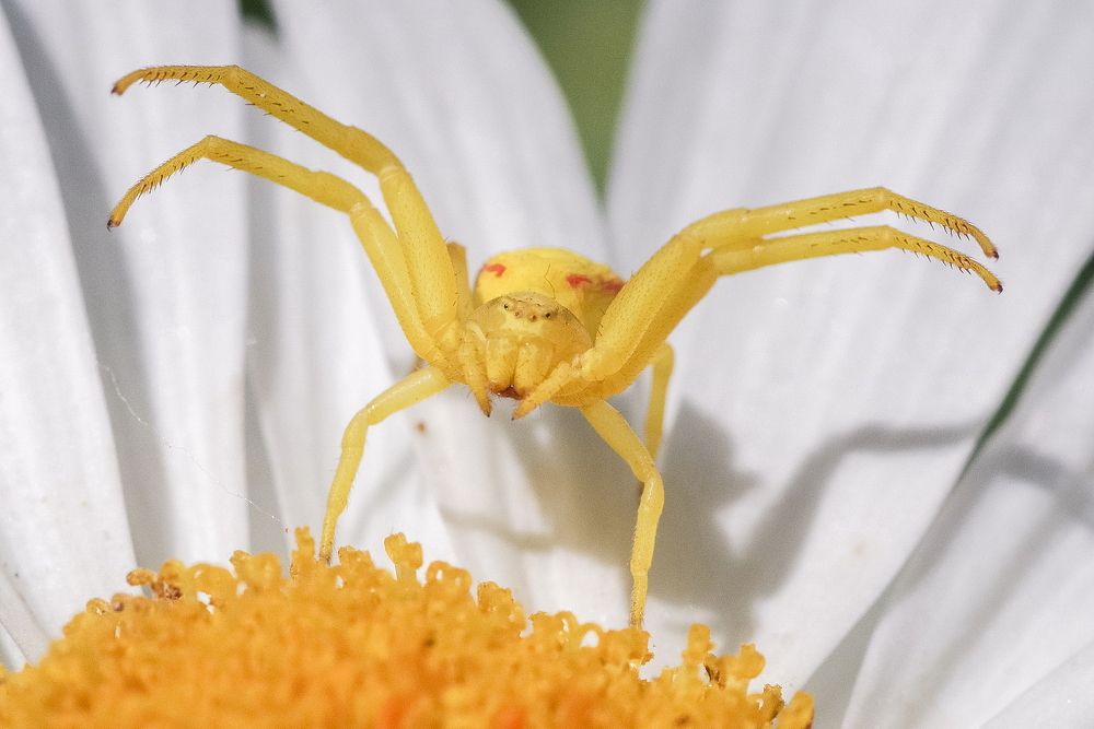 Photograph by Арсен Алабердов