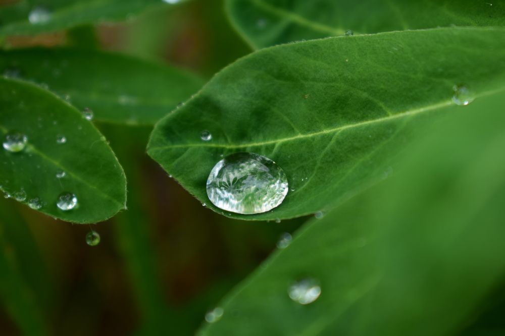 Photograph by Наталья Еременко