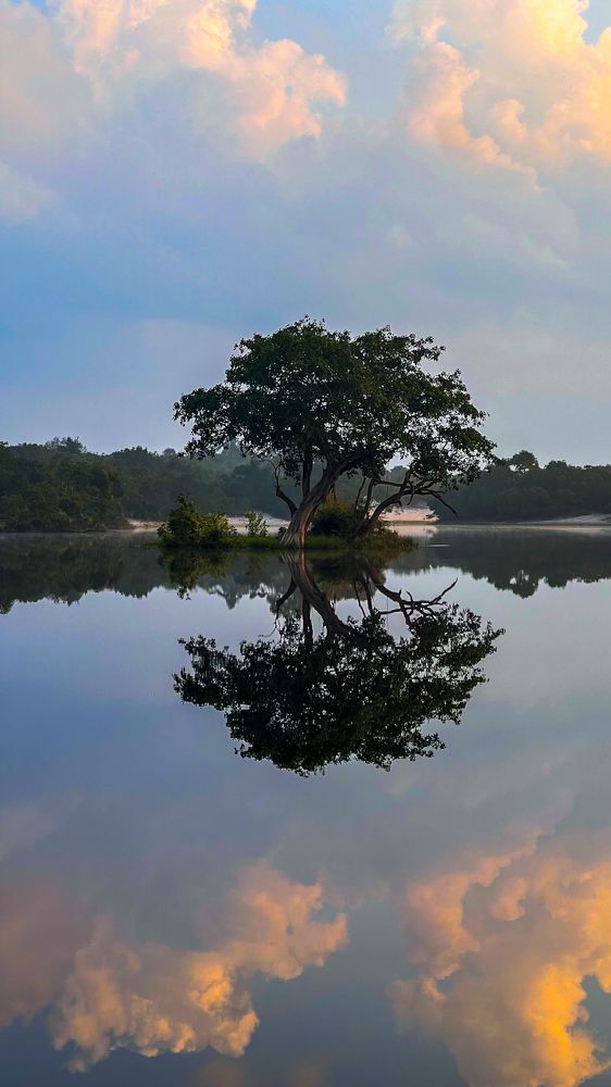 Photograph by Isuru Ranadheera