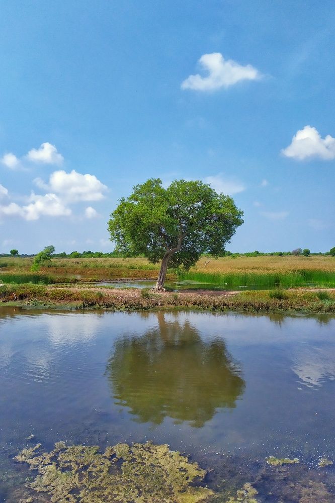 Фотография автора SYAHRULLOH