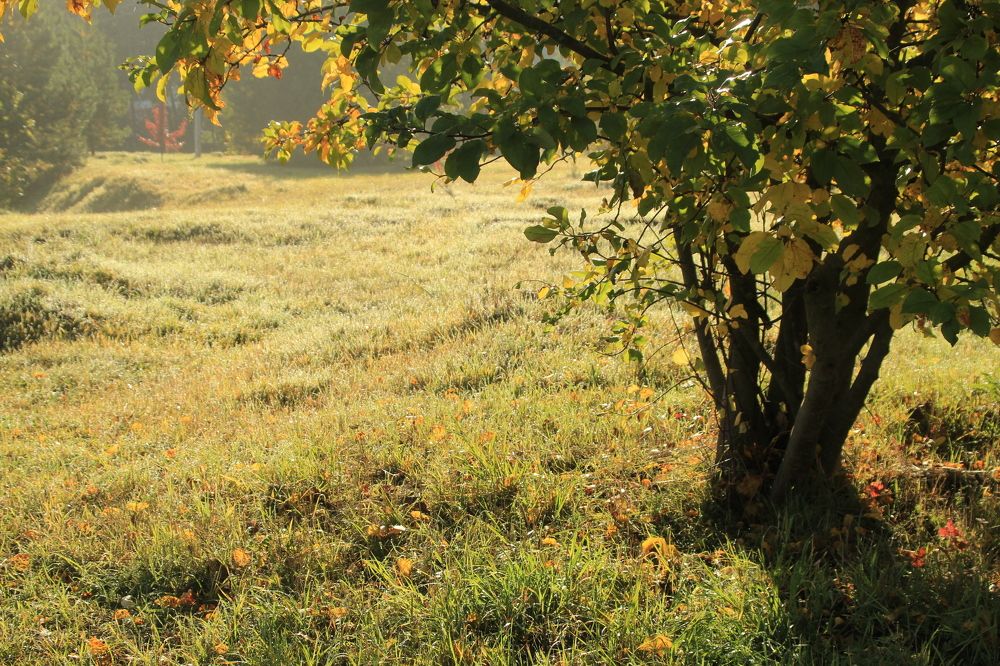 Photograph by Илья Беликов