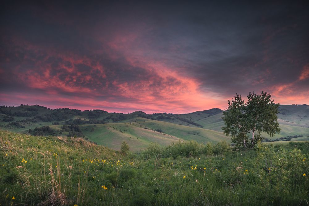 Photograph by Denis Koshkin