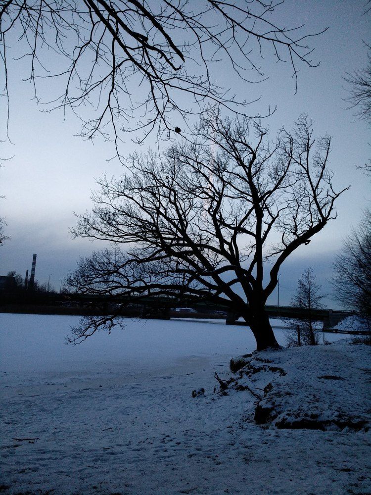 Фотография автора Марина Алексеевская