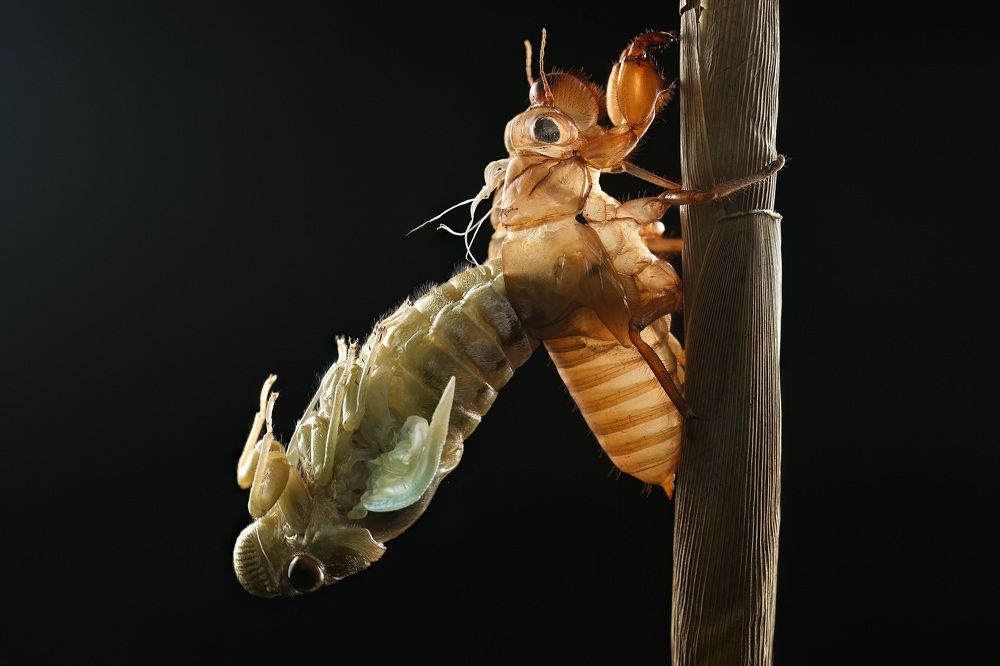 Photograph by Thanh Nguyen