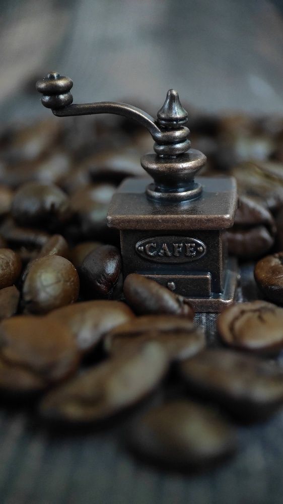 Фотография автора Марина Алексеевская