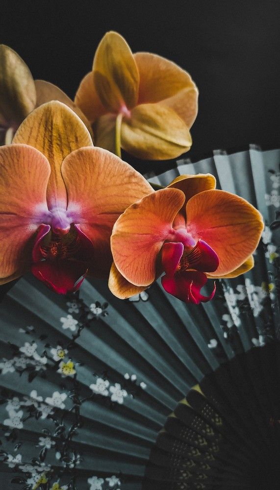 Фотография автора Марина Алексеевская