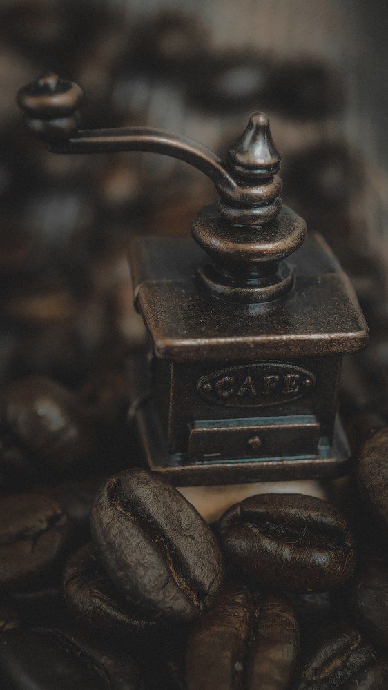 Фотография автора Марина Алексеевская