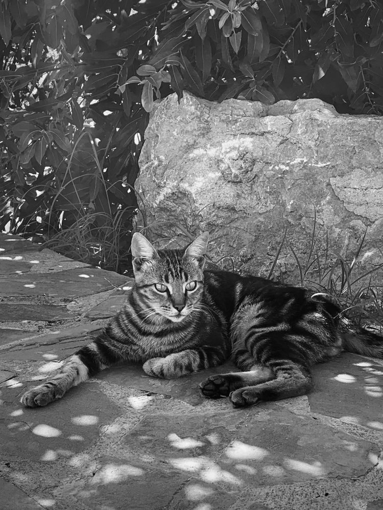 Photograph by Татьяна Семёнова