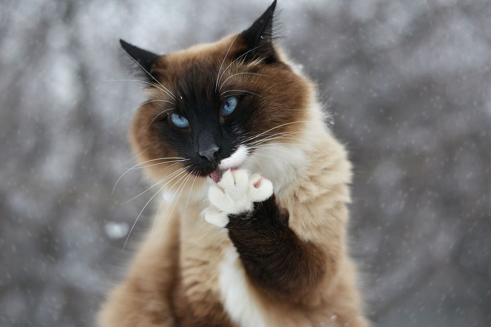 Photograph by Лапшина Владлена