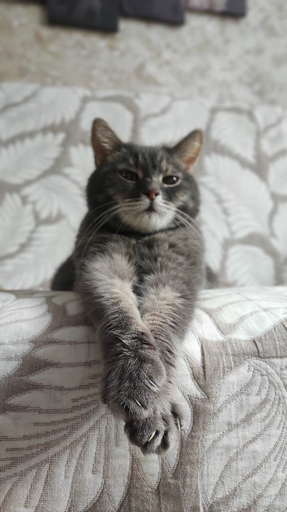 Фотография автора Марина Алексеевская