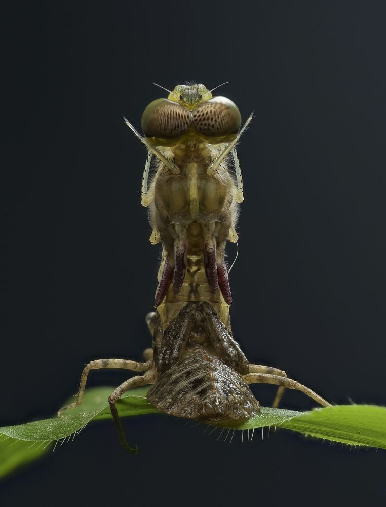 Photograph by Nguyen Van Thanh