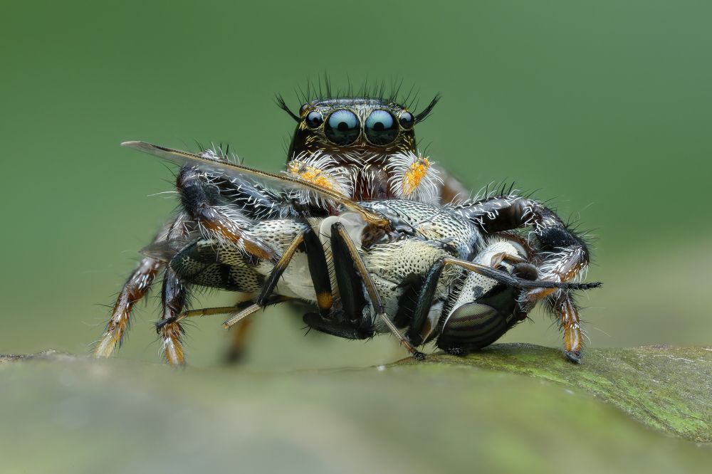 Photograph by Nguyen Van Thanh