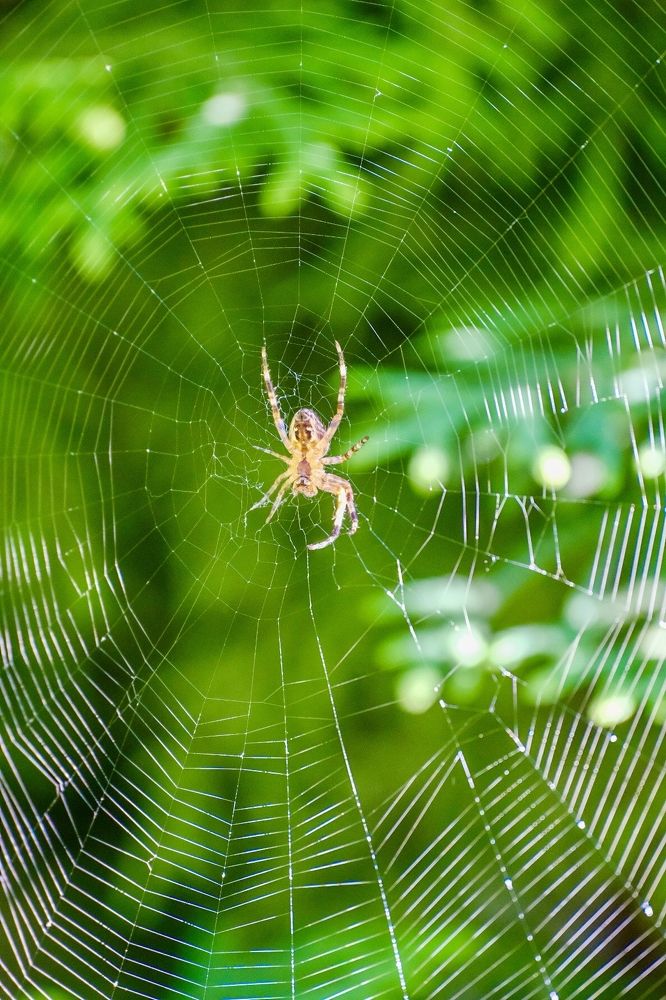 Photograph by Алексей Большаков