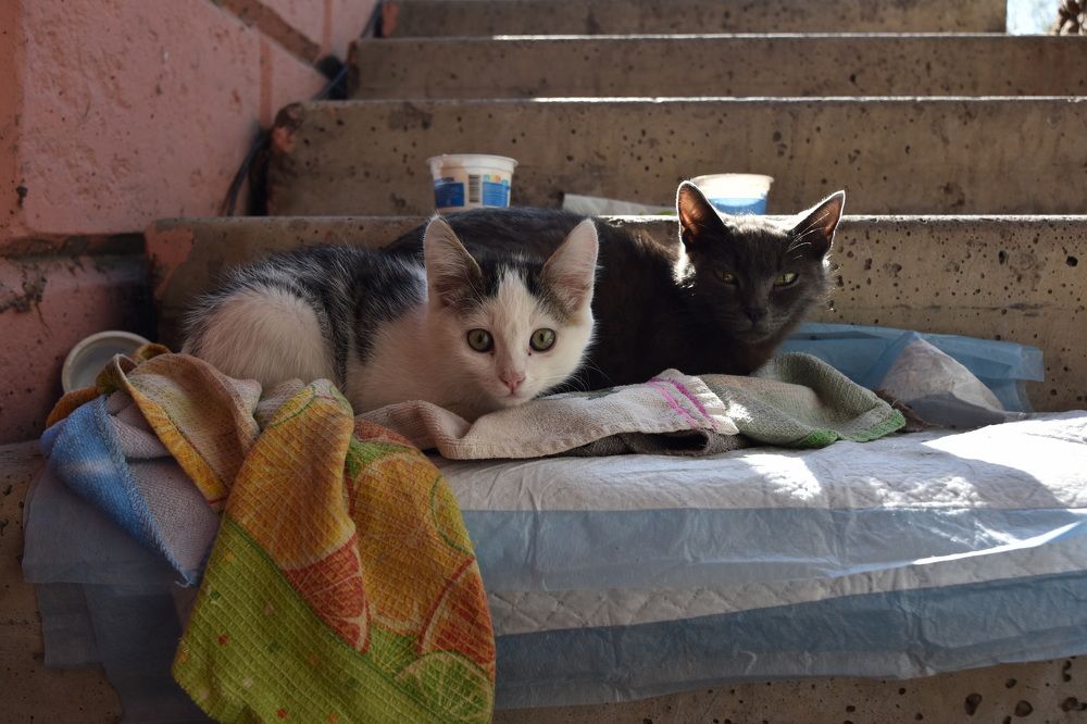 Photograph by Andrey