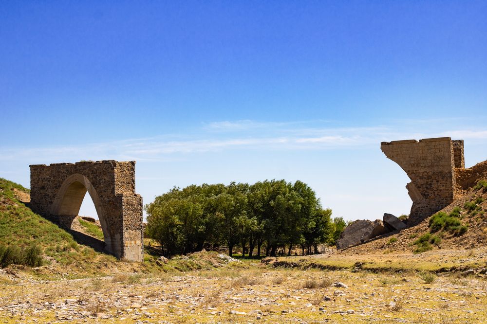 Photograph by ольга стаценко