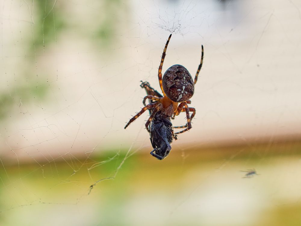 Photograph by Александр Максимов