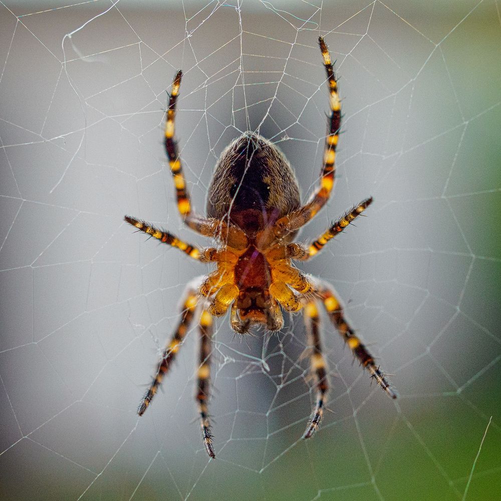 Photograph by Александр Максимов