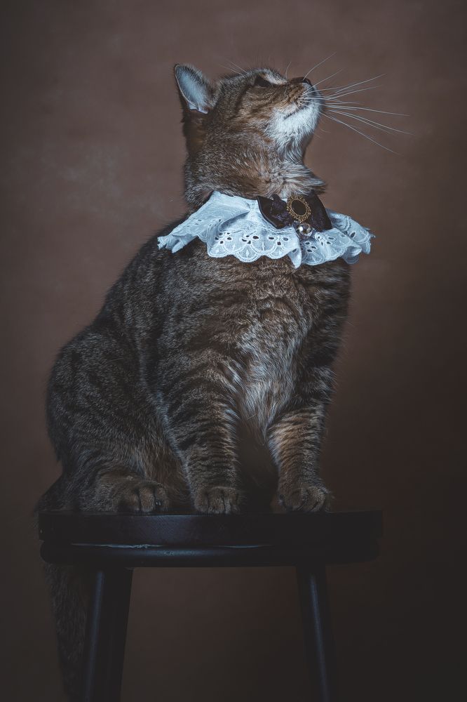 Photograph by Елена Власова