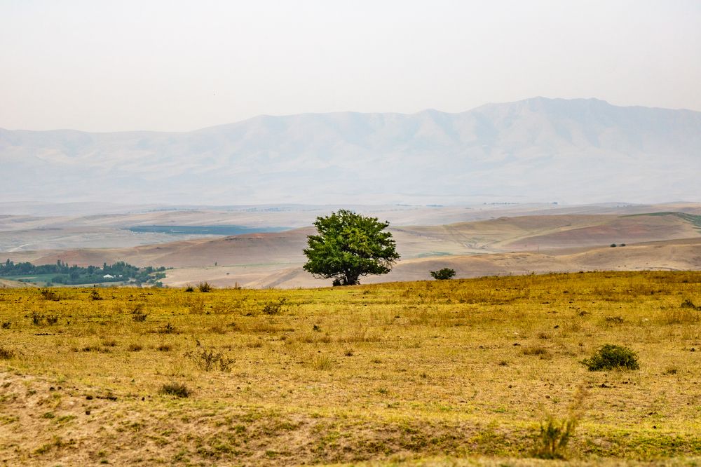 Photograph by ольга стаценко