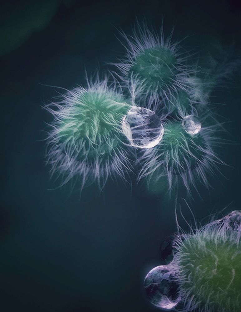 Photograph by Татьяна Гулакова