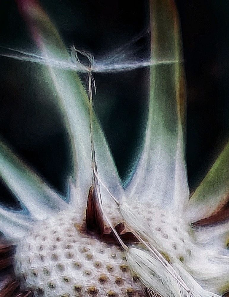 Photograph by Татьяна Гулакова